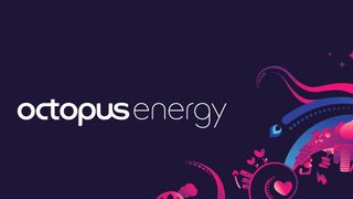 best energy supplier in the UK: Octopus