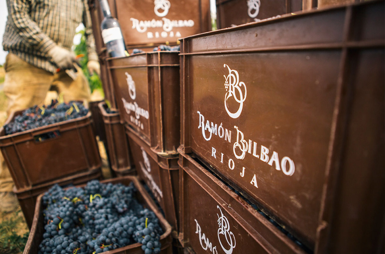 Ram&oacute;n Bilbao Mirto Vertical