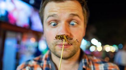 A man stares at a cooked cricket on a stick