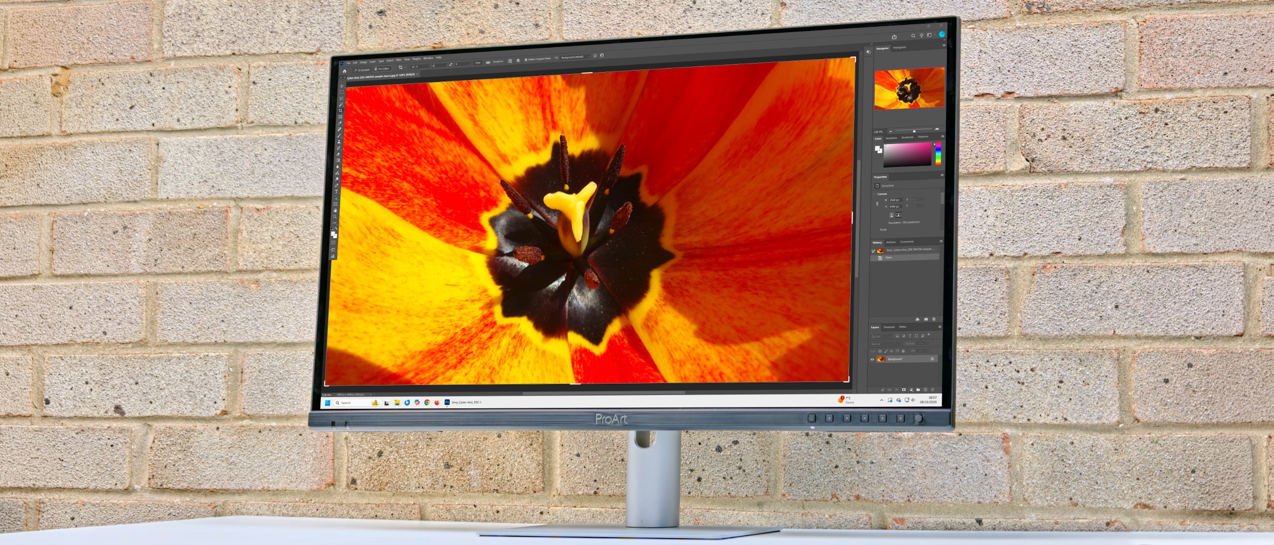 ASUS ProArt Display OLED PA279CDV Professional Monitor