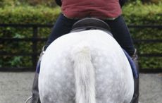 saddle-slip.jpg