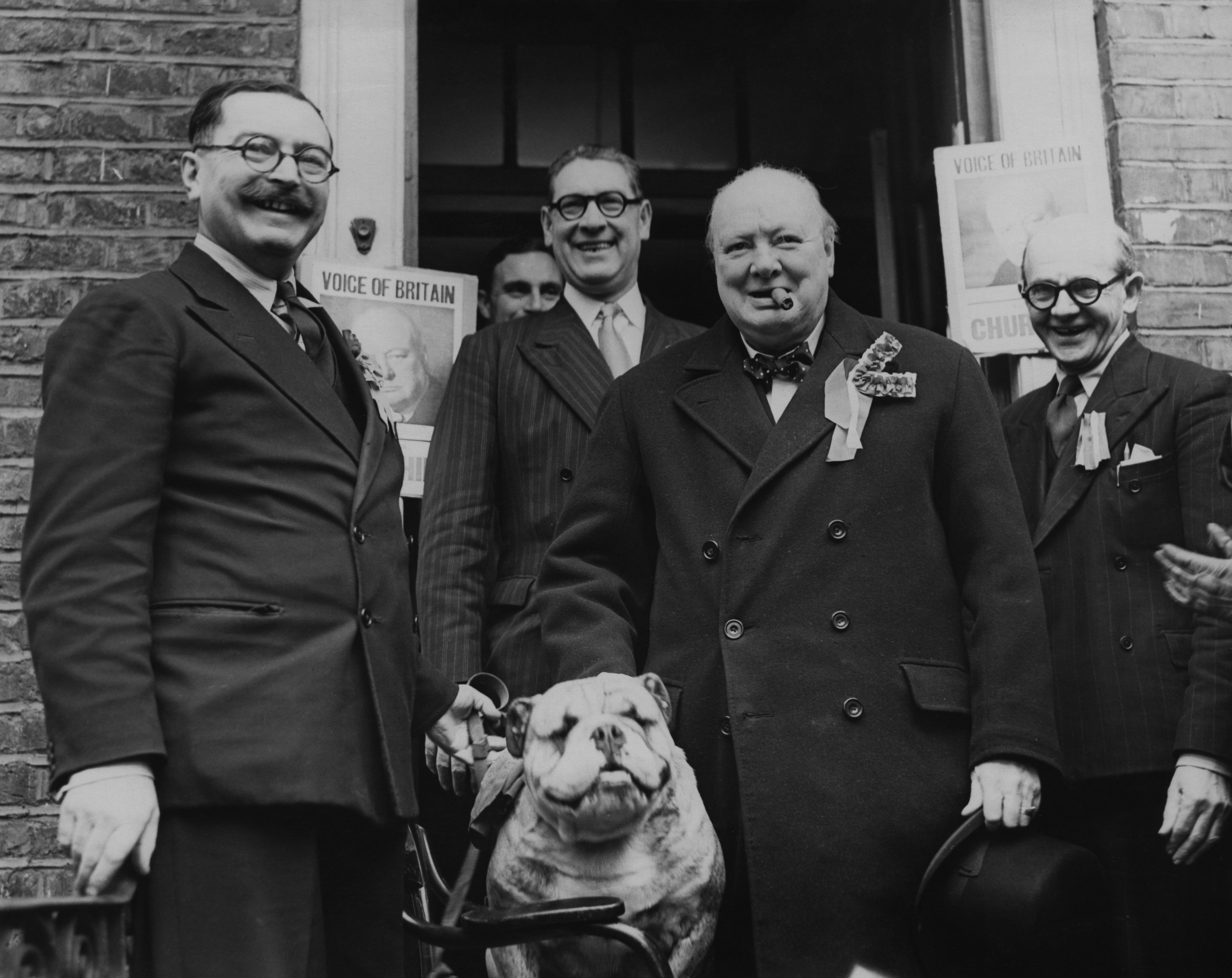 Black-and-white photograph of a bulldog wearing a porter&amp;rsquo;s cap and sitting upright on a chair outside a building.