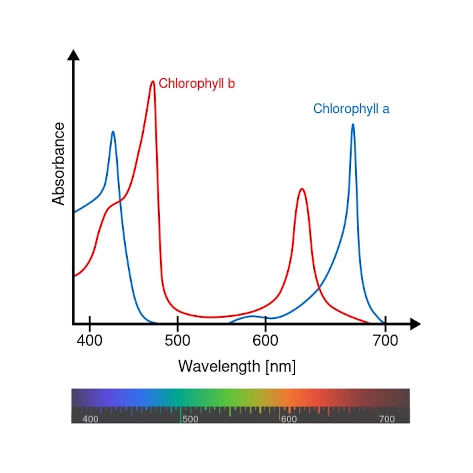 wavelength diagram