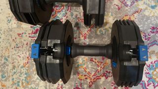 Image of NordicTrack weight being used at home