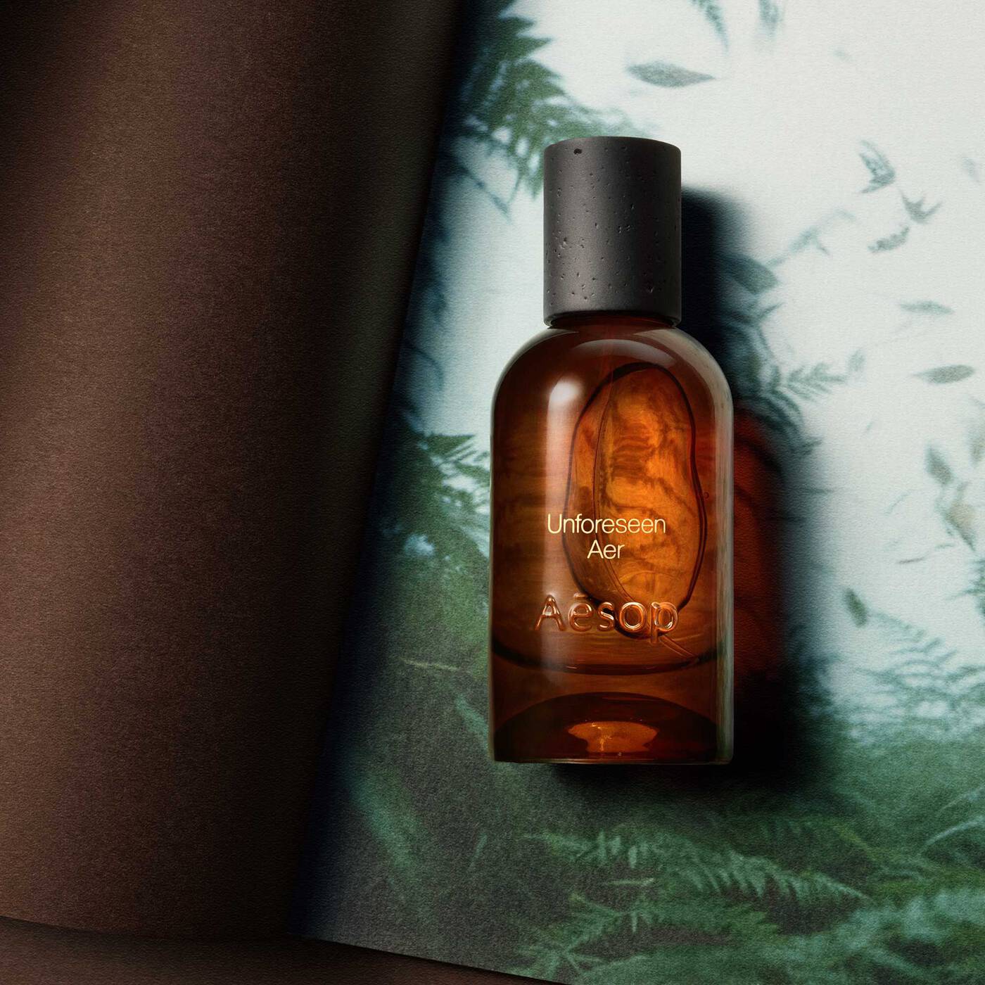 Aesop