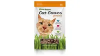Best kitten treats