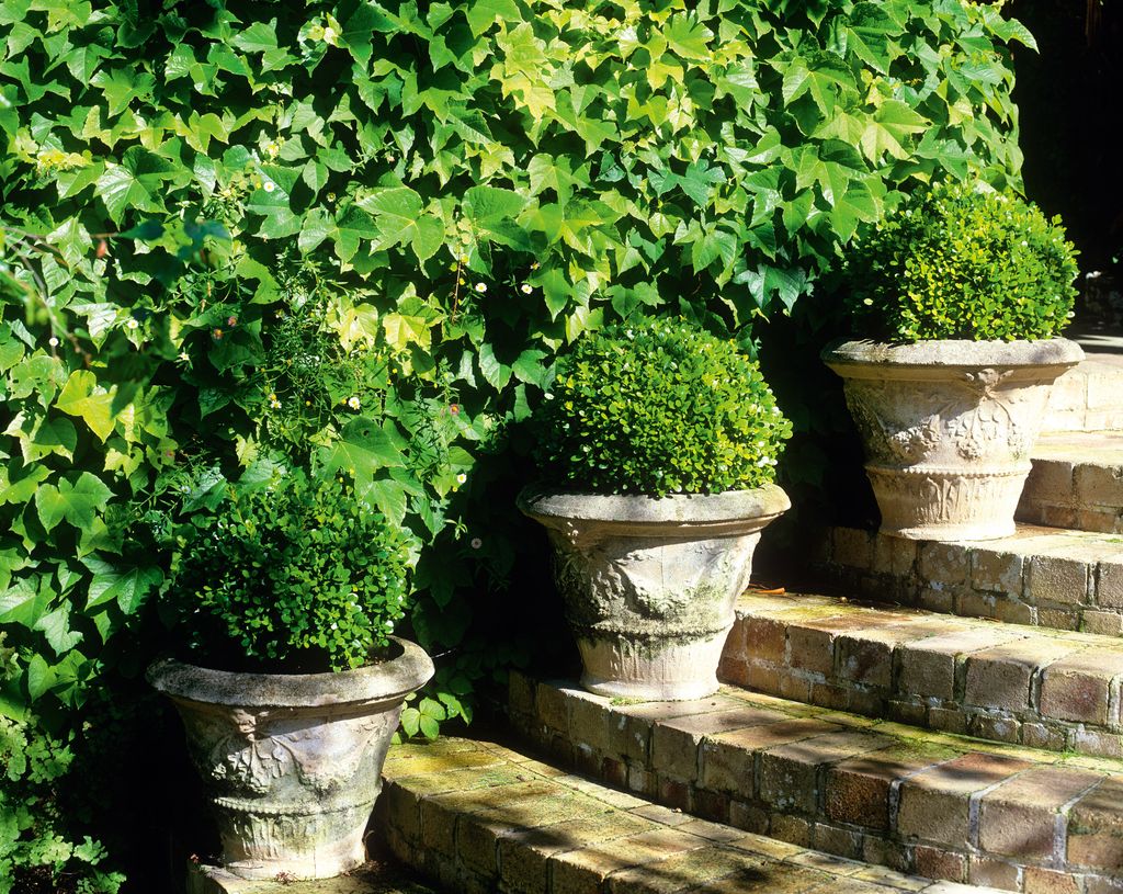 how-to-make-a-small-garden-look-bigger-25-simple-ideas-real-homes