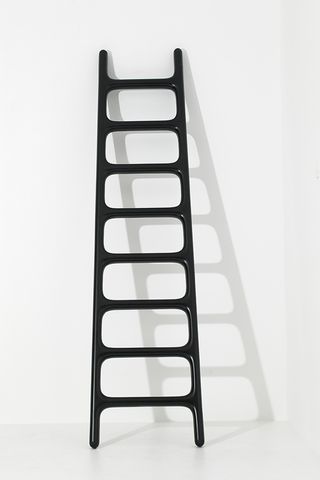 Fibre ladder