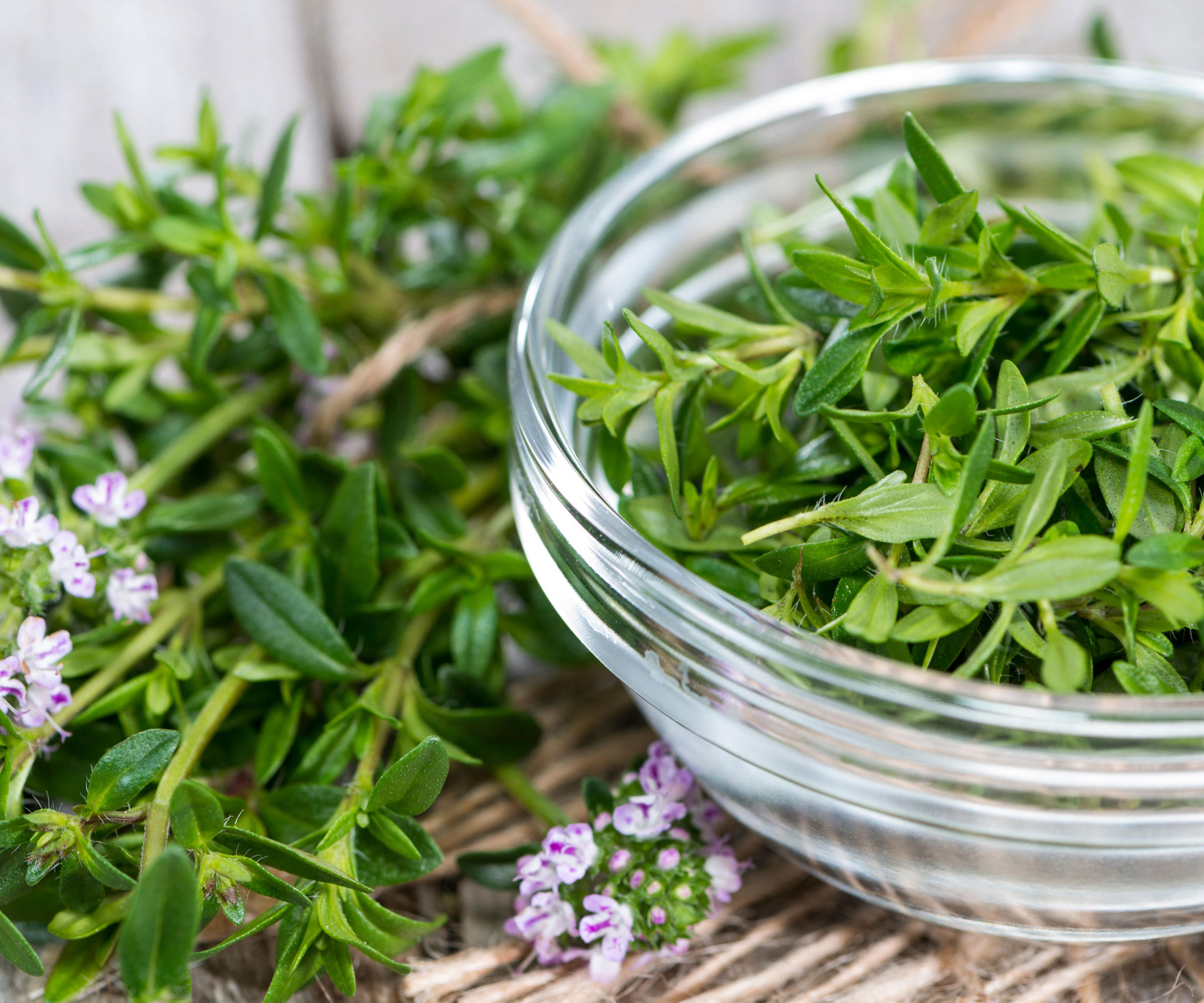 winter savory herbs in glass dish and on table