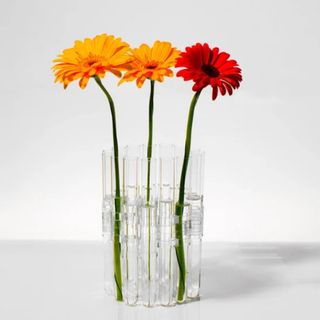 Glass Tube Vase