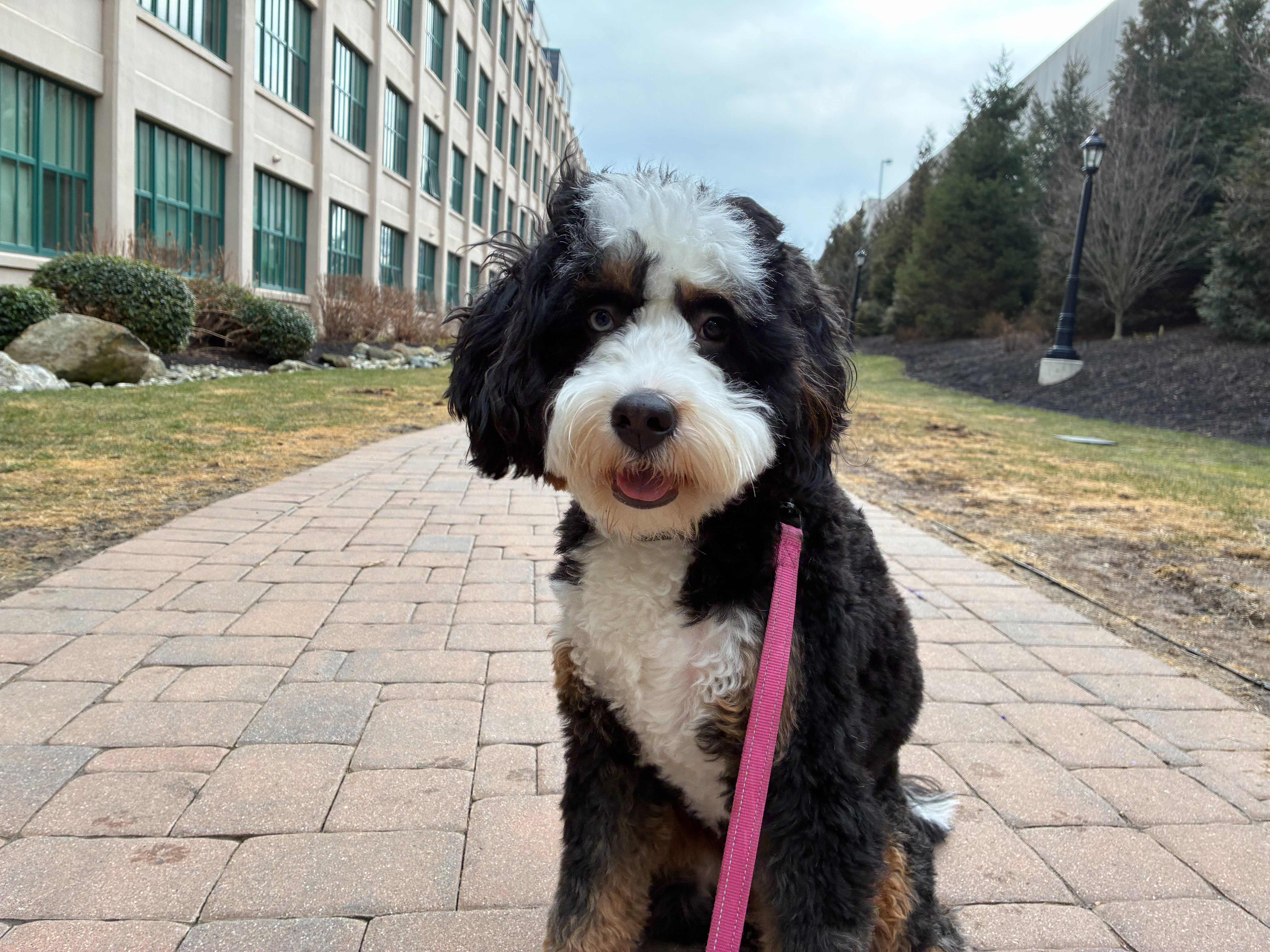 Apple iPhone 17e Review Camera Samples