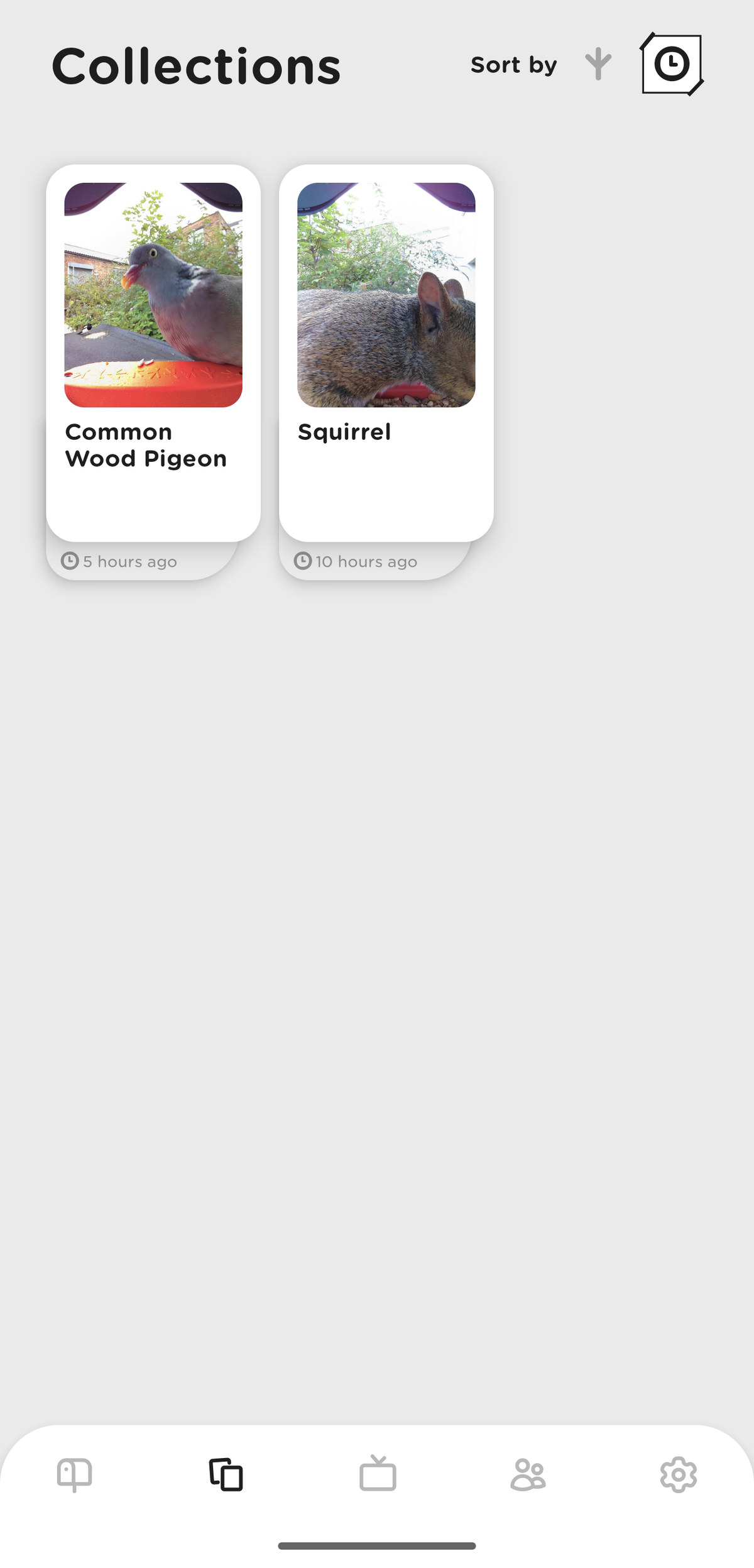 Birdbuddy app screenshots