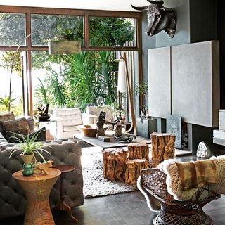 living room with stumps of olive trees and jungle feel with glass wall