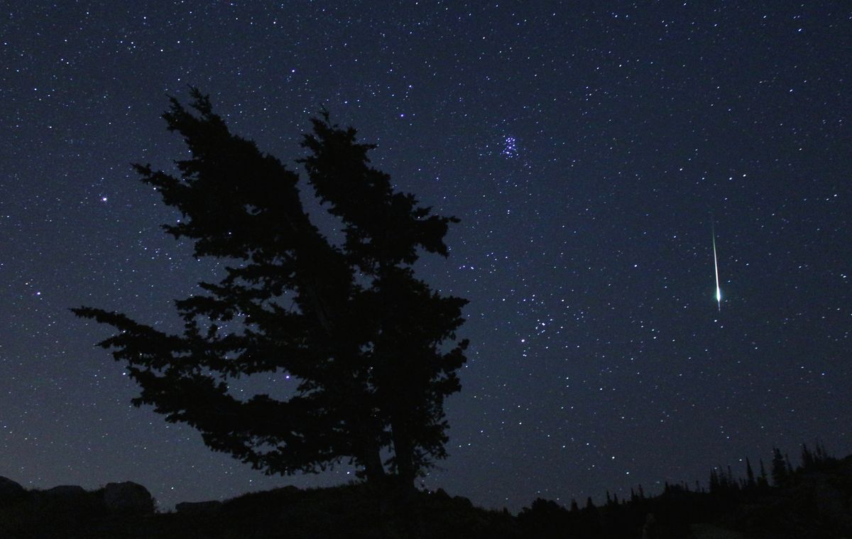 This year&#039;s Leonid meteor shower will likely be disappointing.