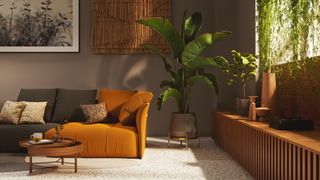 A zen living room in warming tones