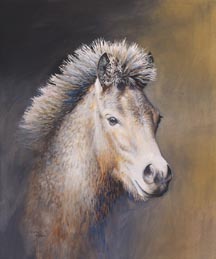 Exmoor_lad.jpg