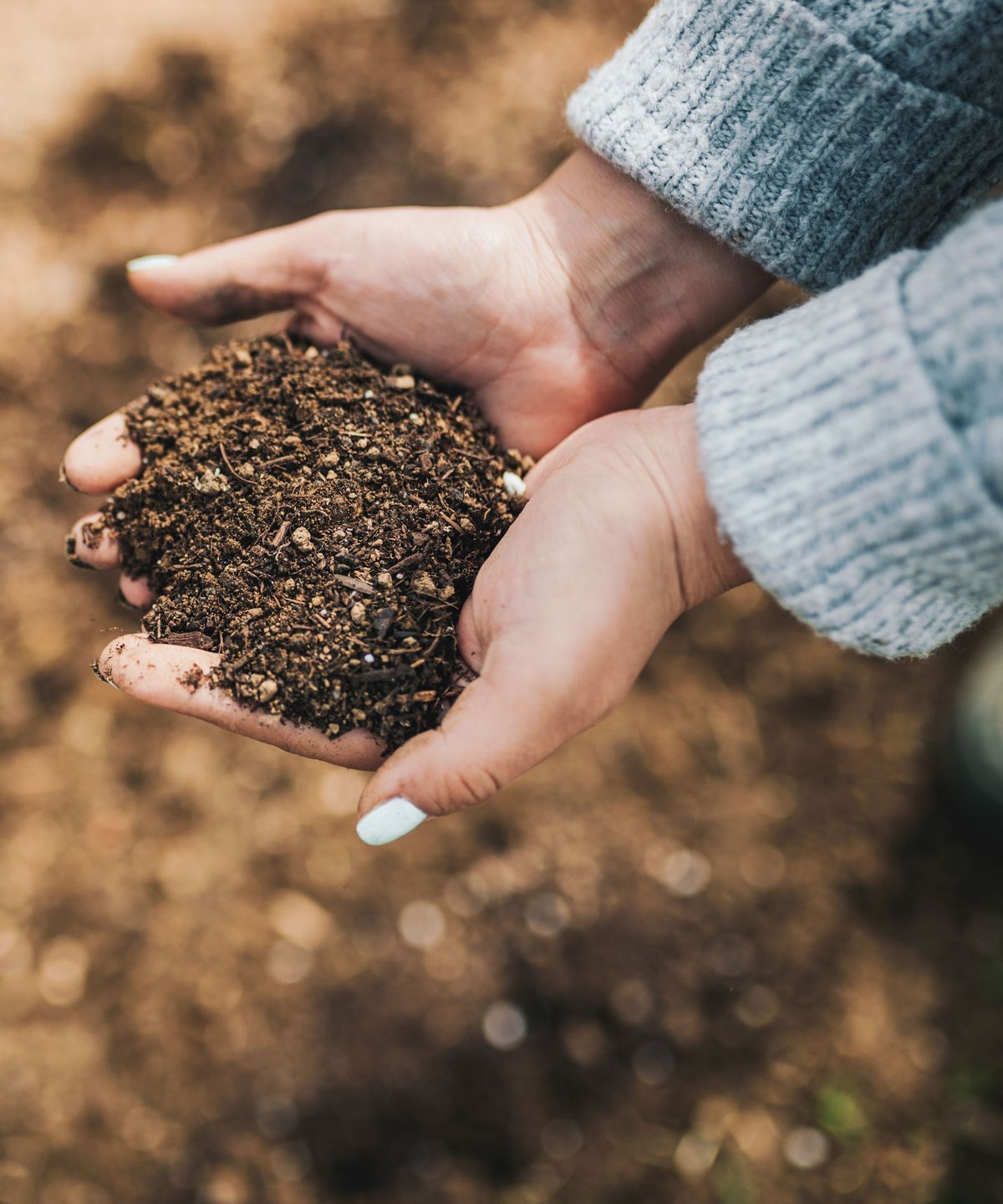 How to start a vegetable garden – tips for first-time growers ...