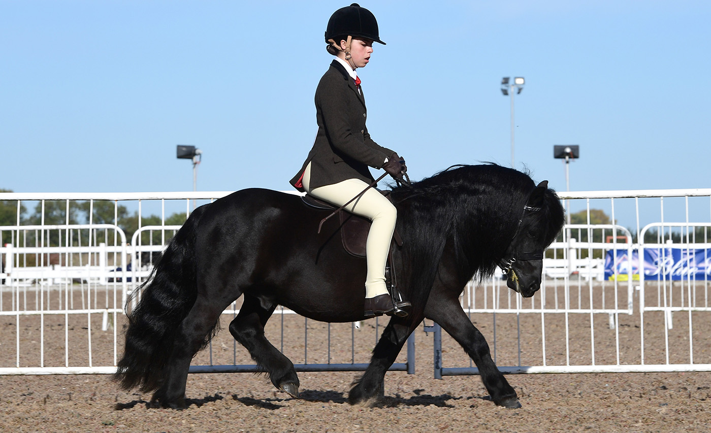 Heritage Show 16.10.2266624