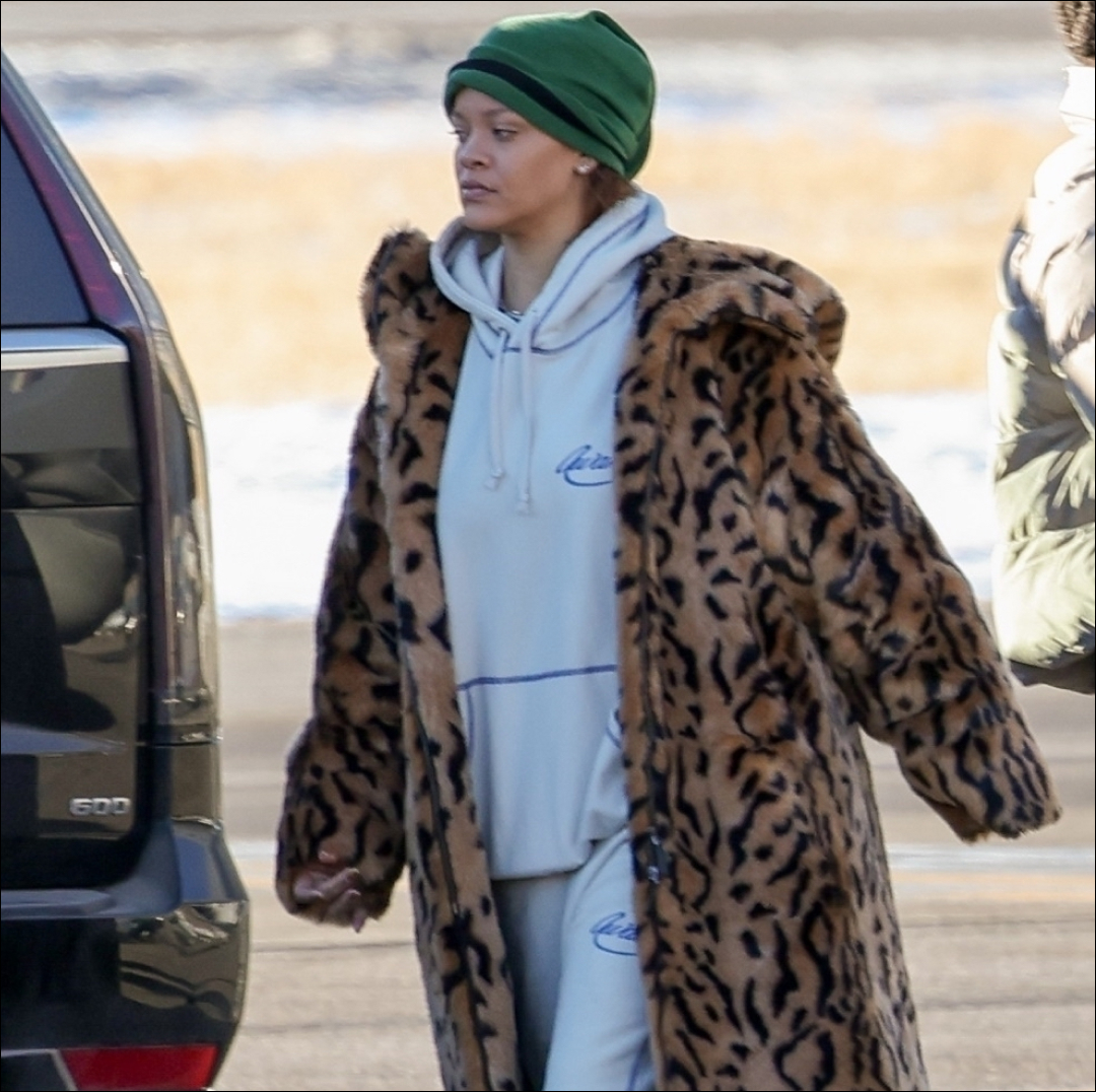 Rihanna's Sweatsuit and Leopard Coat Outfit Is So Easy To Copy