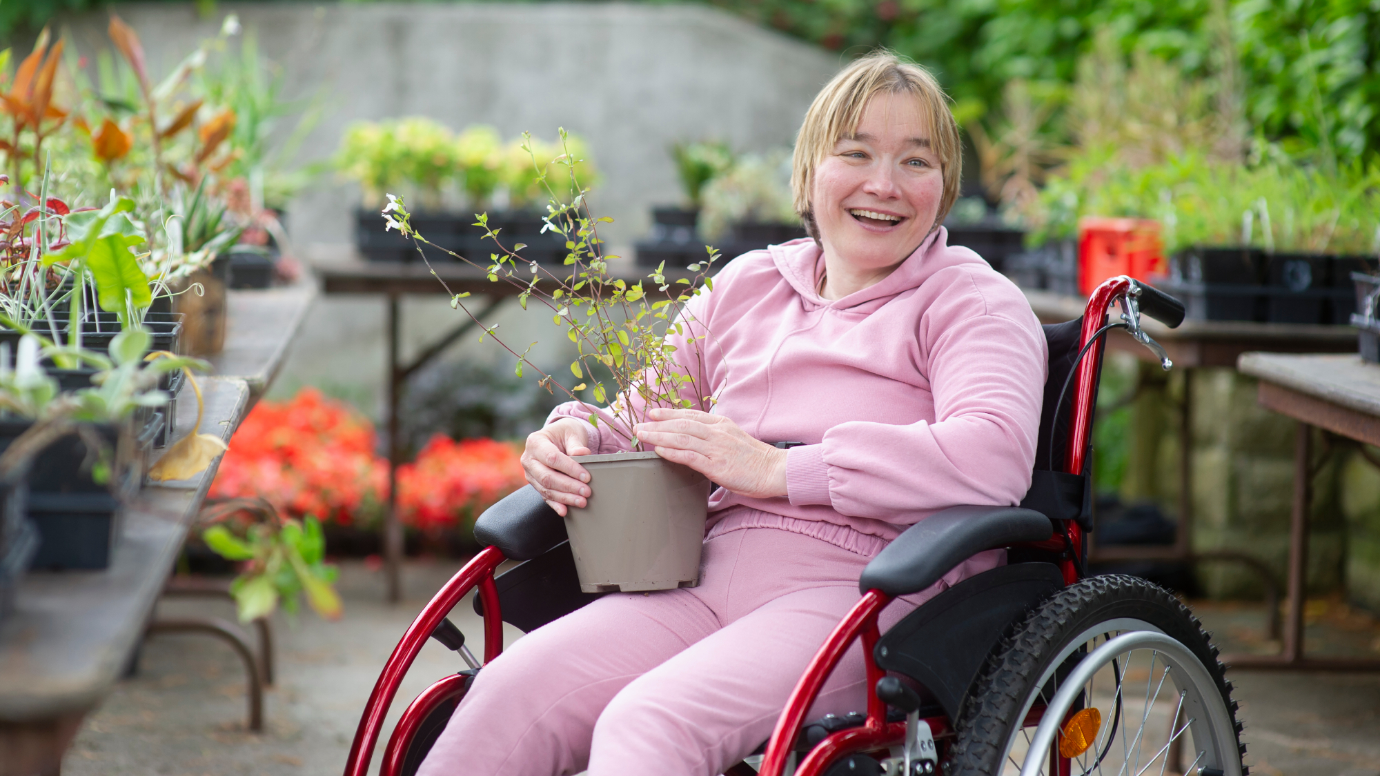woman in wheelchair in the garden holding plant