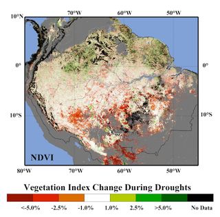 During the 2005 and 2010 droughts, satellites detected decreased vegetation greenness over the southern Amazon rain forest (orange and red regions).
