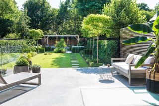 garden layout ideas: modern garden with stepping stone path across lawn