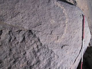 rock art showing a crescent moon