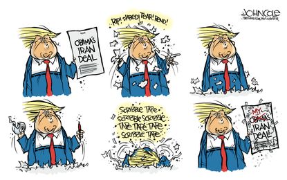 Political Cartoon