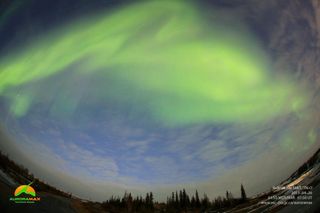 Aurora Over Yellowknife, NWT, Canada