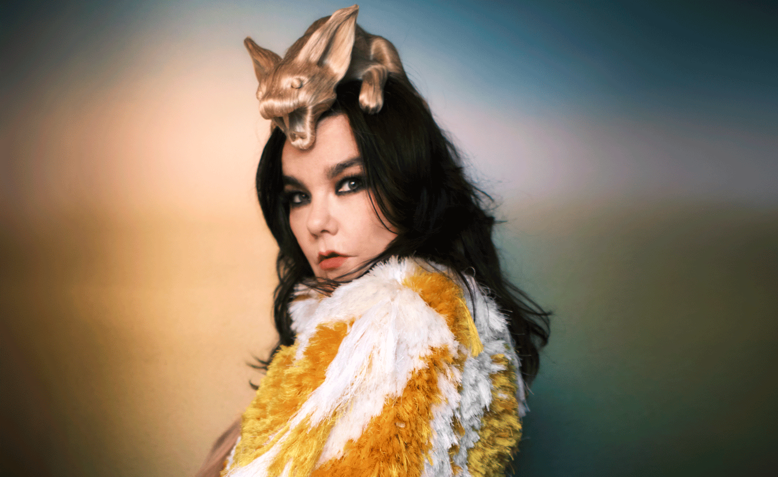 profile of bjork