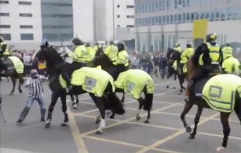 Police horses in football violence
