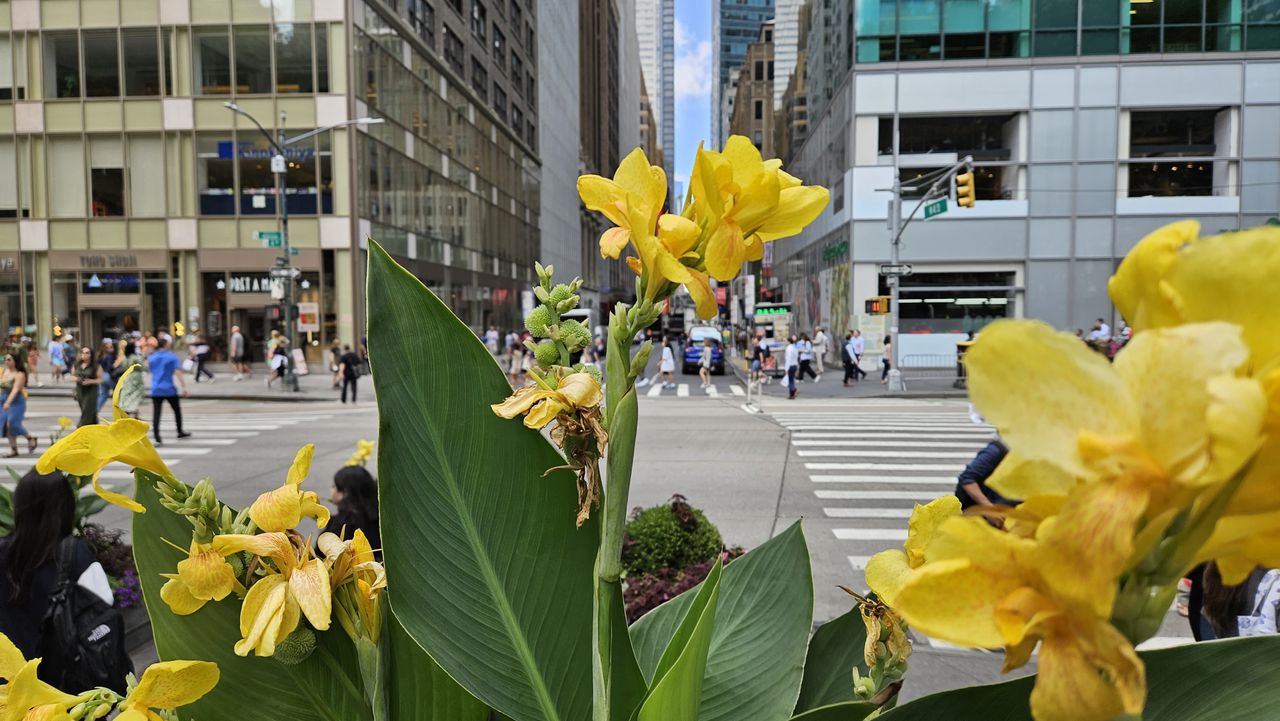 Samsung Galaxy Z Fold 5 Review Camera Samples