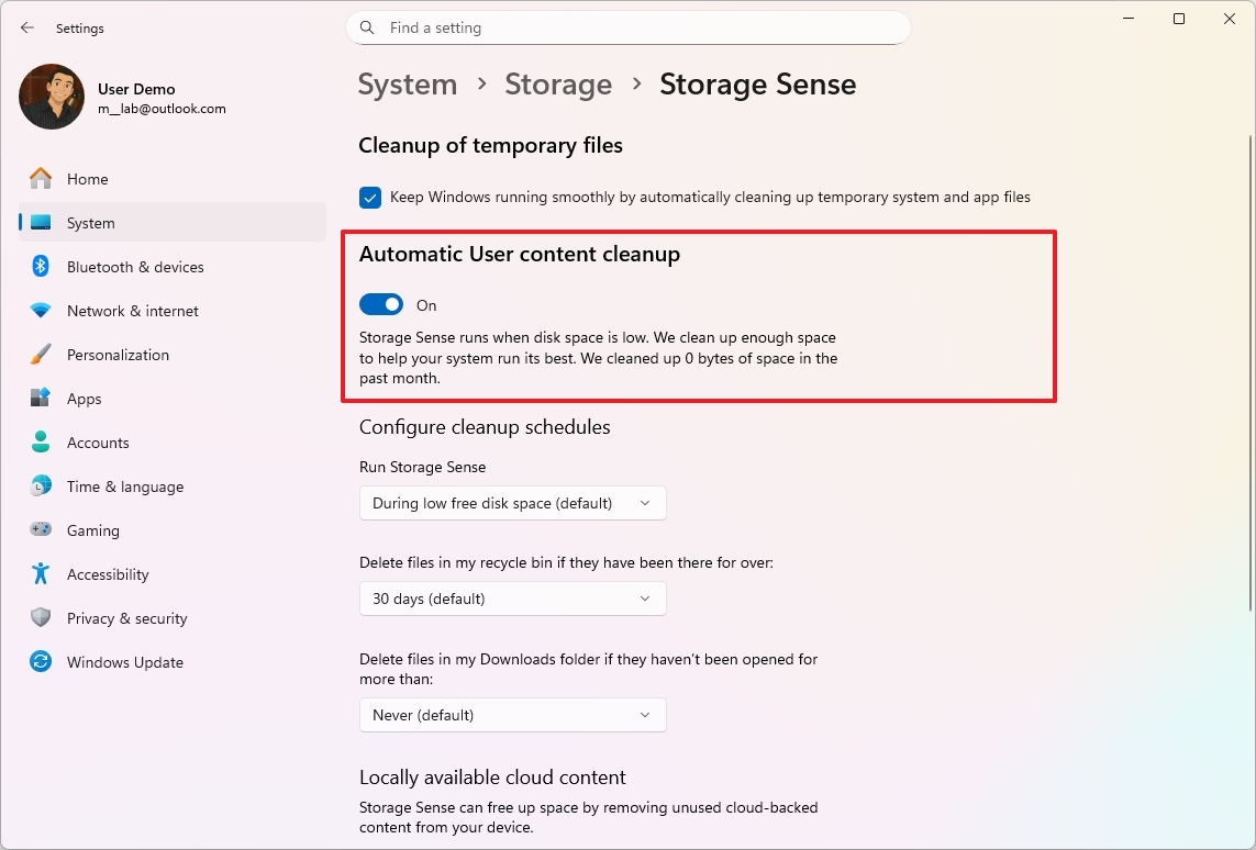 Windows 11 Storage Sense