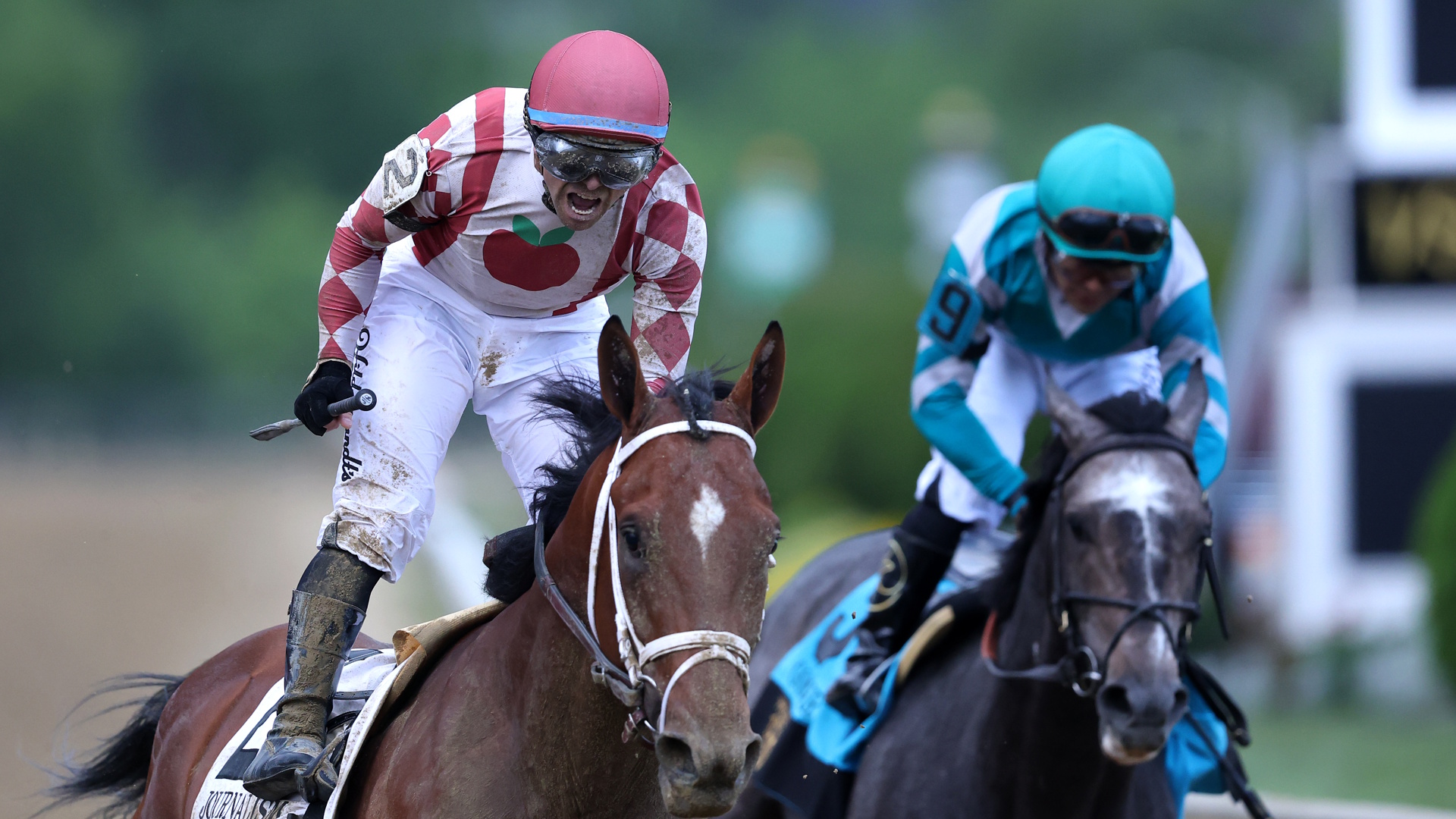 Jockey Umberto Rispoli celebrates aboard Journalism as they ride to a win in the Preakness Stakes.