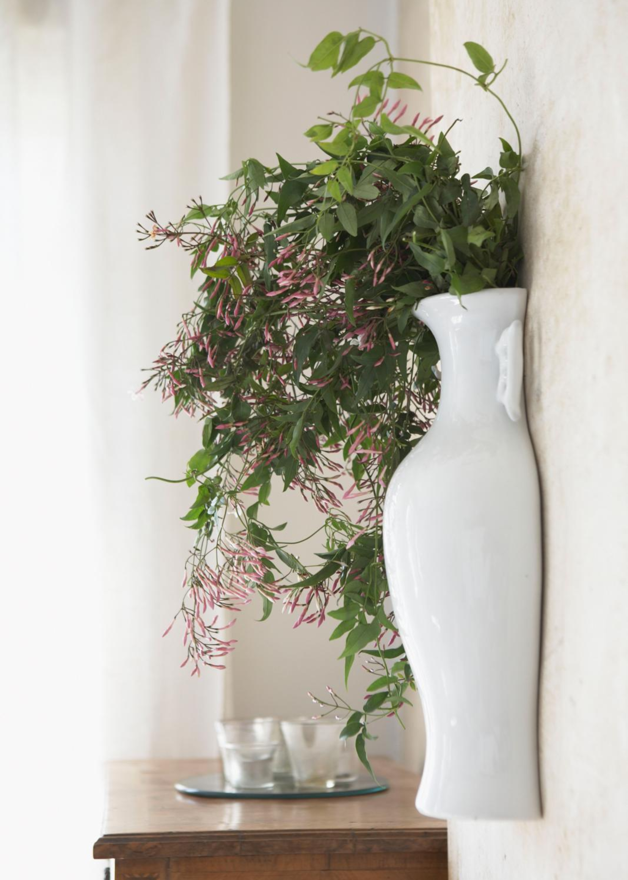 A wall-mounted vase of pink honeysuckle