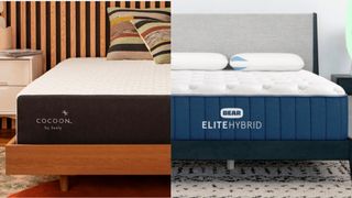 Bear Elite Hybrid vs Cocoon by Sealy Chill Hybrid mattress face off