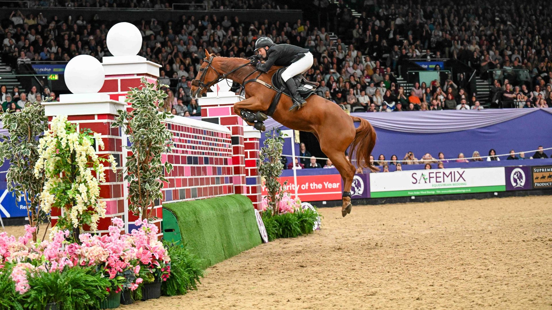 Andrew Hodgins and SHANACLOUGH LUICHEW share top honours in the HOYS puissance