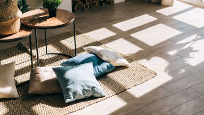 How to Clean Shower Tile - Plank and Pillow