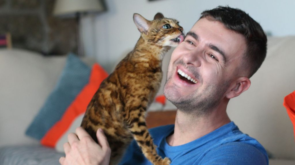 10 weird cat behaviors explained by an expert | PetsRadar