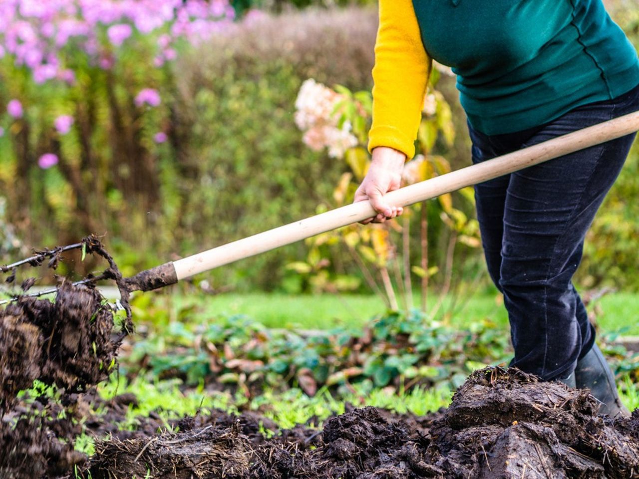 Gardener Raking Soil In Garden