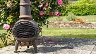 picture of iron chiminea in a garden near rose bush