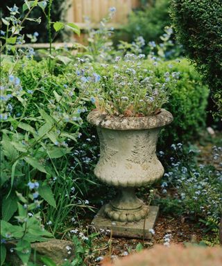 antique urn in garden