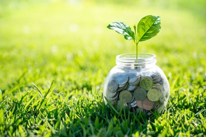 small glass jar full of coins with plant growing out of it