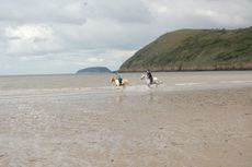 beach-2015-e1442246329176.jpg
