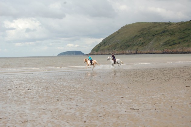 beach-2015-e1442246329176.jpg