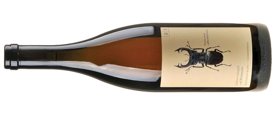 andreas_tscheppe_stag_beetle_2021