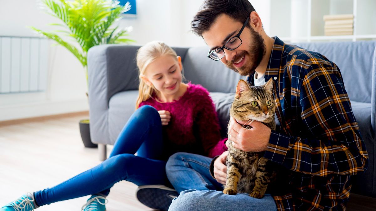 a family plays with their cat