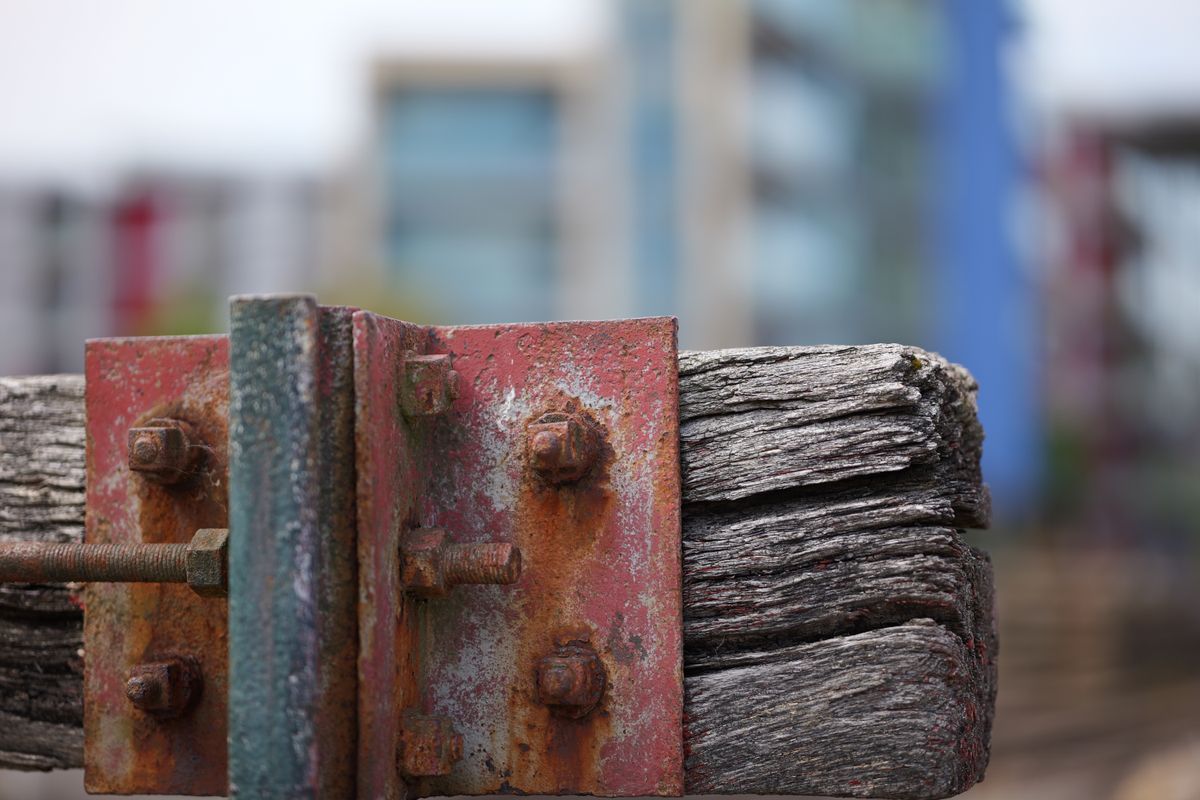 Sigma 85mm f/1.2 DG Art sample image