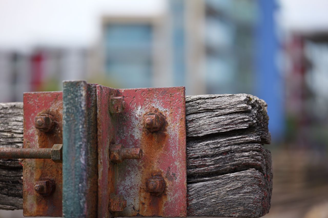 Sigma 85mm f/1.2 DG Art sample image