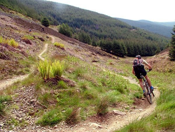 Still more scenic singletrack.